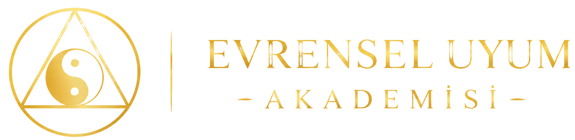 Evrensel Uyum Akademi